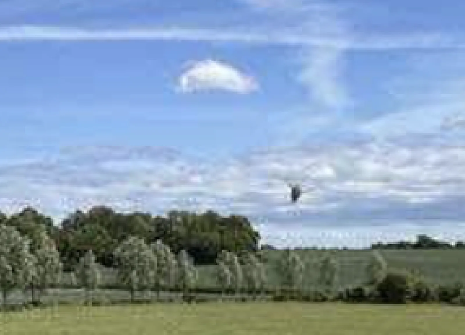Enlarged detail of an unidentified shape above the Rivenhall fields