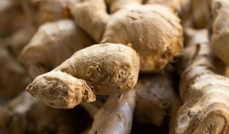 benefits-of-ginger-unveiled