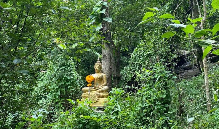 buddhism-morality