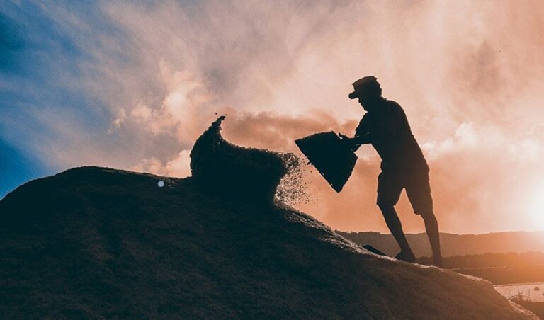 celtic-sea-salt-article