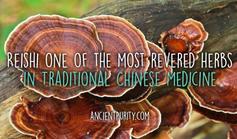 reishi-mushroom-improves-sleep